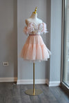 BLUSH PINK MESH WITH SEQUINS AND FEATHERS MINI PARTY DRESS